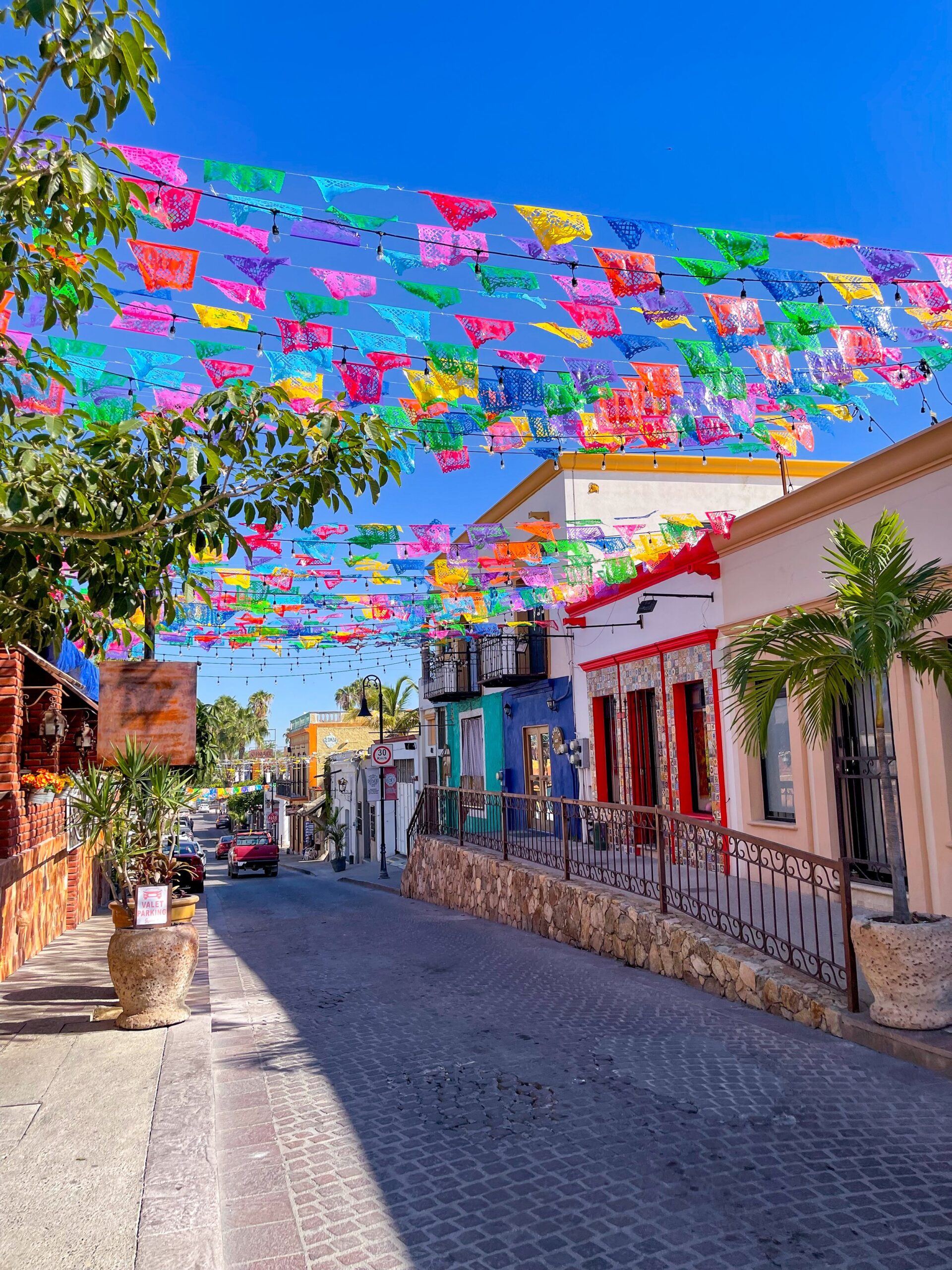 Beautiful street of San Jose del Cabo.