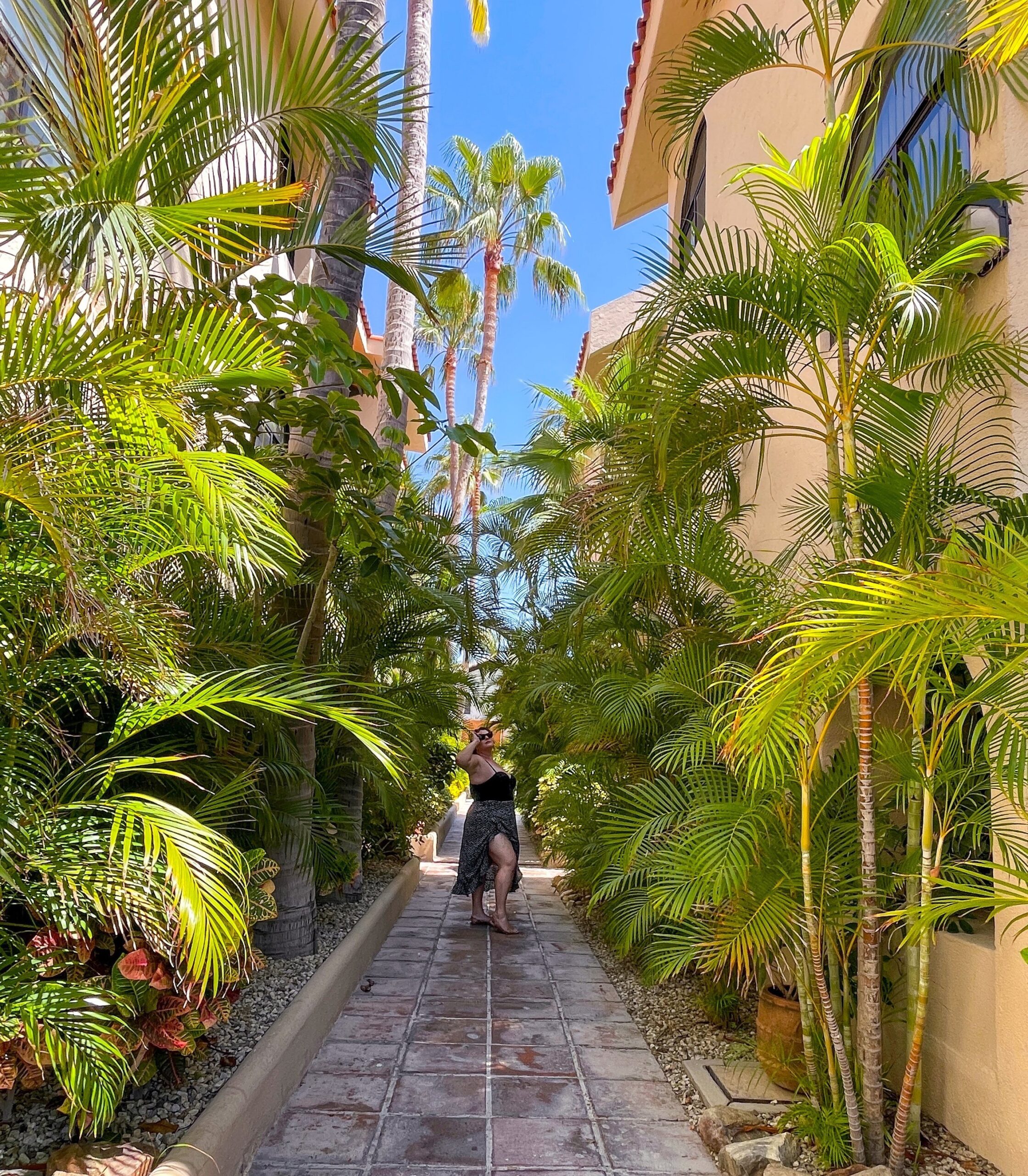 Beautiful pathway at my San Jose del Cabo Airbnb.